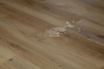 Tarkett Funky House BOB фото 6 | FLOORDEALER